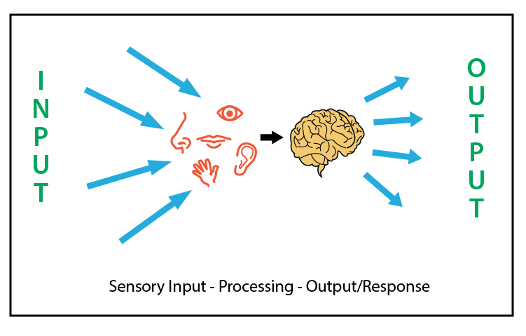 sensory processing, spd, sensory processing disorder