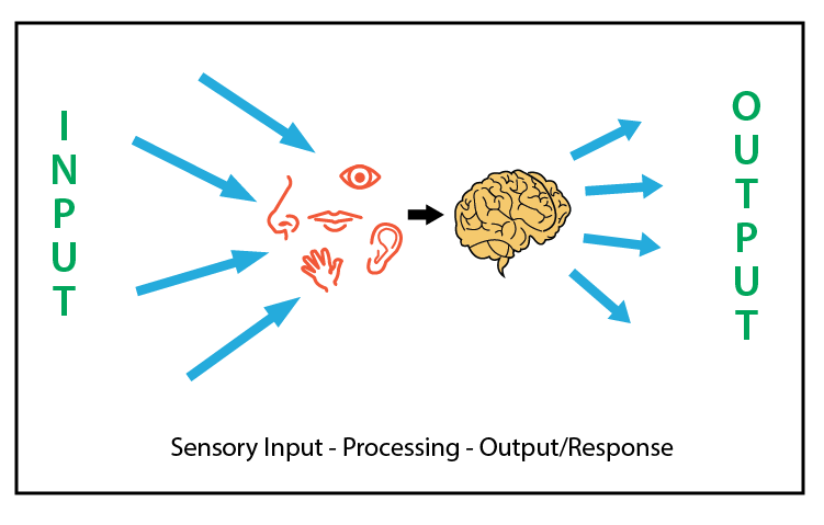 Image result for sensory intake