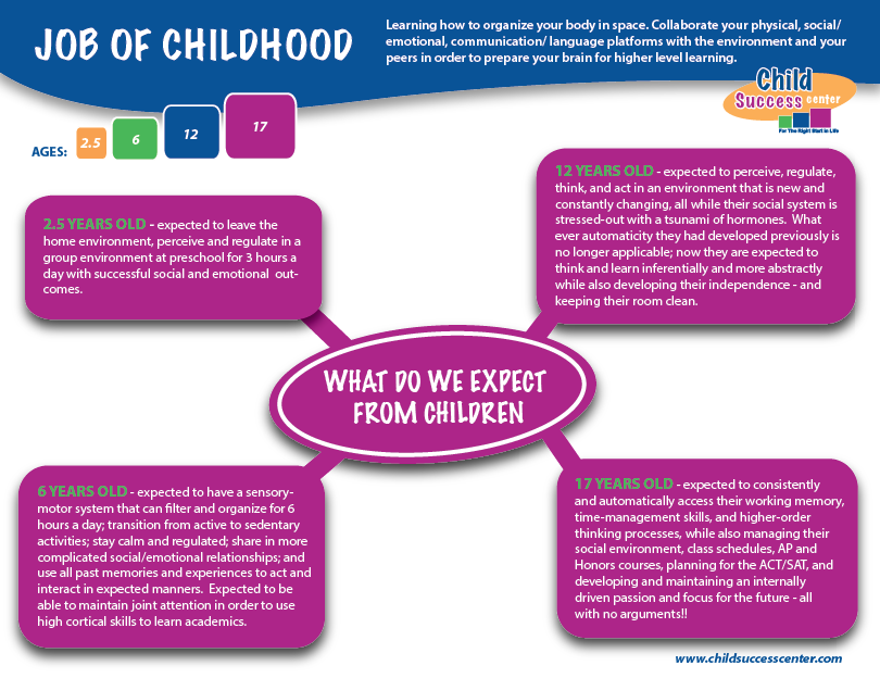 Executive Function - the job of childhood