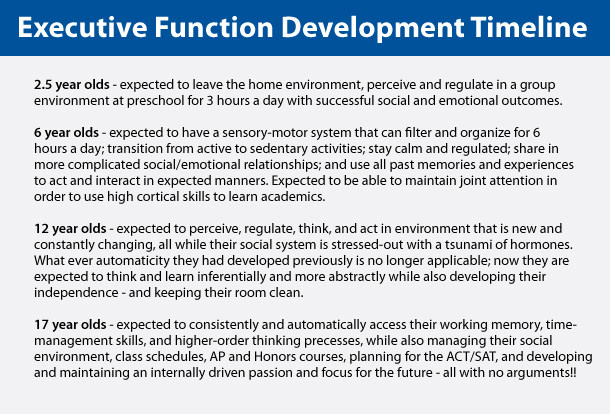 Executive Function Development Timeline