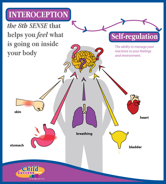 The interoceptive system